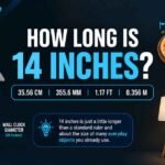 Things That Are 14 Inches Long